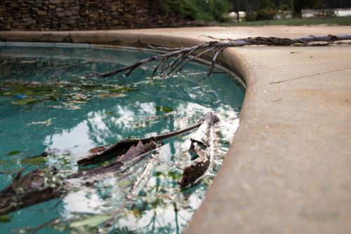 debris in pool