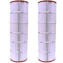 2pk Pleatco PAP200-4 Filter Cartridge Pentair Predator Clean & Clear 200 C-9419