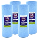 Clorox Platinum Premium 4 Pack Pool Filtration Replacement for Jandy CS250 250 sq. ft R0462500 PJANCS200-4 FC-0823 C-8418