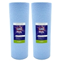 Clorox Platinum Premium 2 Pack Pool Filtration Replacement for Hayward C-1200 120 sq. ft. CX1200RE PA120 FC-1293 C-8412