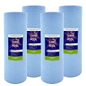 Clorox Platinum Premium 4 Pack Pool Filtration Replacement for Hayward X-Stream CCX1500 150 sq. ft CCX1500RE PXST150 FC-1286 C-8316