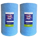 Clorox Platinum Premium 2 Pack Pool Filtration Replacement for Predator Clean & Clear 150 R173216 PAP150-4 FC-0687 C-9415 C-9419