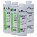 ProTeam Severest Algae Treatment 4 x 1 qt