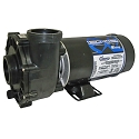 Waterway EX2 pump, 2 Speed, 230V - 1.5HP