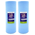 Clorox Platinum Premium 2 Pack Pool Filtration Replacement for Jandy CS250 250 sq. ft R0462500 PJANCS200-4 FC-0823 C-8418