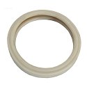 Pentair AquaLight & SpaBrite Lens Gasket 