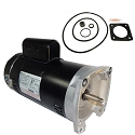 Puri Tech Replacement Motor Kit for Sta-Rite Max-E-Glas 2.5HP PEAA5G-122L A.O. Smith Century USQ1252 with GO-KIT-54