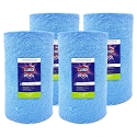 Clorox Platinum Premium 4 Pack Pool Filtration Replacement for Predator Clean & Clear 75 R173214 PAP75-4 FC-0685 C-9407