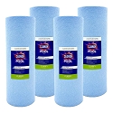 Clorox Platinum Premium 4 Pack Pool Filtration Replacement for Hayward C-1100 100 sq. ft CX1100RE PA100 FC-1290 C-8610