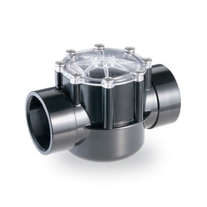 Pentair CPVC Check Valve 2''-2.5''