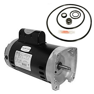 Puri Tech Replacement Motor Kit for Sta-Rite Dura-Glas II 2HP P4RA6G-188L, AO Smith Century USQ1202 with GO-KIT-38