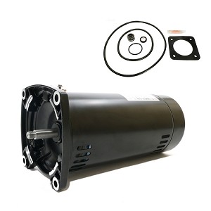 Puri Tech Replacement Motor Kit for Sta-Rite Dura-Glas 1HP P2RA5E-181L AO Smith Century USQ1102 with GO-KIT-54