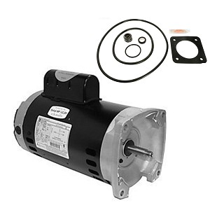 Puri Tech Replacement Kit for Sta-Rite Max-E-Glas 2HP PEA5G-126L AO Smith Century USQ1202 with GO-KIT-6