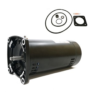 Puri Tech Replacement Motor Kit for Sta-Rite Dura-Glas .75HP P2R5D-181L AO Smith SQ1072 with GO-KIT-6