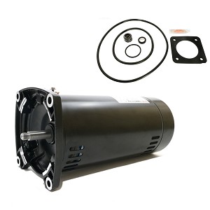 Puri Tech Replacement Motor Kit for Sta-Rite Max-E-Glas 1HP PEA6E-124L AO Smith Century USQ1102 with GO-KIT-54