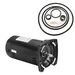 Puri Tech Replacement Motor Kit for Sta-Rite Dyna-Max .75HP MPEA6D-146L, AO Smith USQ1072 with GO-KIT-47