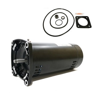 Puri Tech Replacement Motor Kit for Sta-Rite Max-E-Glas .75HP PEA5D-180L, AO Smith Century USQ1072 with GO-KIT-6