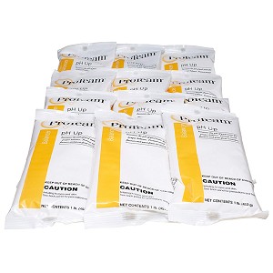 ProTeam pH Up 12 x 1 lb