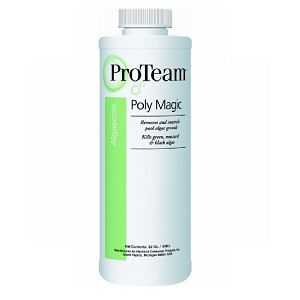 ProTeam Poly Magic Algaecide - 1 quart