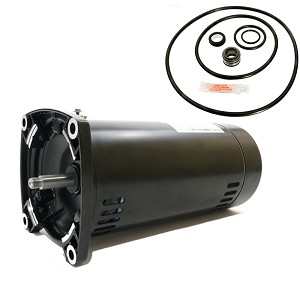 Puri Tech Replacement Motor Kit for Sta-Rite Max-E-Glas II 1HP P4E6E-151L, AO Smith SQ1102 with GO-KIT-38