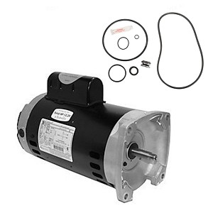 Puri Tech Replacement Motor Kit for Sta-Rite Max-E-Pro 2HP P6R6G-208L AO Smith Century SQ1202 Century with GO-KIT-79