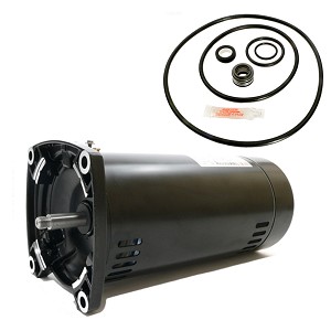 Puri Tech Replacement Motor Kit for Sta-Rite Dura-Glas II 1HP P4R6E-187L,  A.O. Smith Century SQ1102 Motor with GO-KIT-38