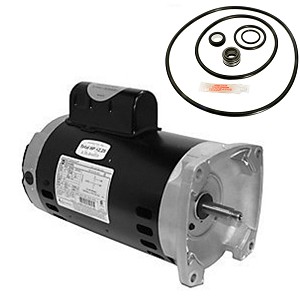 Puri Tech Replacement Motor Kit for Sta-Rite Dura-Glas ll 2HP P4EA6G-152L, A.O.Smith Century USQ1202 with GO-KIT-38