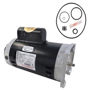 Puri Tech Replacement Motor Kit for Pentair SuperFlo 2HP 340040, AO Smith B855 with GO-KIT-78