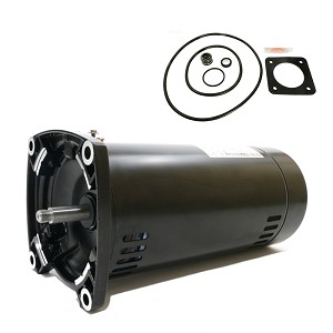 Puri Tech Replacement Motor Kit for Sta-Rite Dura-Glas 1HP P2R5E-182L AO Smith Century SQ1102 with GO-KIT-6