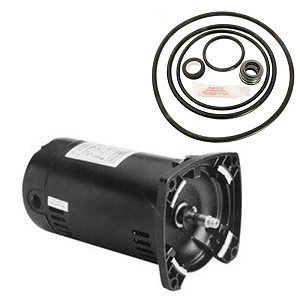 Puri Tech Replacement Motor Kit for Sta-Rite Dyna-Glas .75HP MPRA6D-146L AO Smith USQ1072 with GO-KIT-47