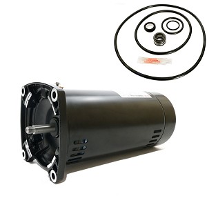 Puri Tech Replacement Motor Kit for Sta-Rite Max-E-Glas II 1HP P4EA6E-150L, AO Smith Century USQ1102 with GO-KIT-38