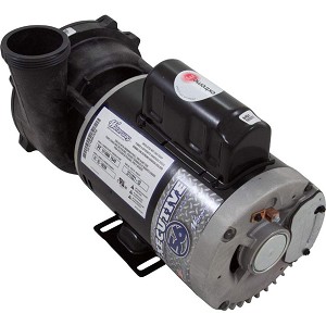 Waterway Plastics 3711221-1D WW Exec 3.0hp 230v 1-SPD 56fr 2"" OEM Pump