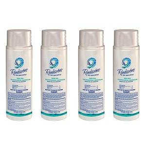 Rendézvous Spa Specialtie Sani-Spa Chlorinating Granular 1.75lbs 4 Pack