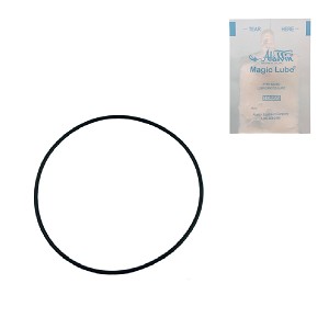 Puri Tech O-RING - Sta-Rite 35505-1273 & Others with Single Use Lubricant