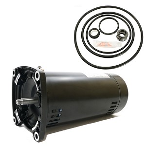 Puri Tech Replacement Motor Kit for Sta-Rite Dyna-Glas 1.5HP MPRA6F-148L AO Smith USQ1152 with GO-KIT-47