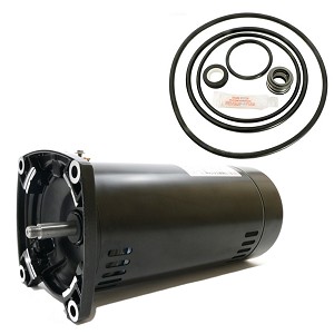 Puri Tech Replacement Motor Kit for Sta-Rite Dyna-Max 1HP MPEA6E147L, AO Smith USQ1102 with GO-KIT-47