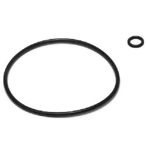 Polaris Back-Up Valve O-Ring Replacement 