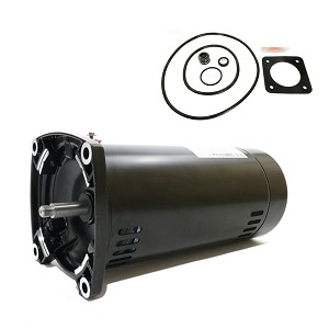 Puri Tech Replacement Motor Kit for Sta-Rite Dura-Glas 1.5HP P2RA5F-182L AO Smith Century USQ1152 with GO-KIT-6