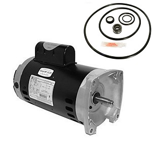 Puri Tech Replacement Motor Kit for Sta-Rite Max-E-Glas II 2HP P4E6G-153L, AO Smith Century SQ1202 with GO-KIT-38