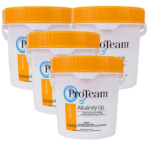 ProTeam Alkalinity Up 4 x 10 lb