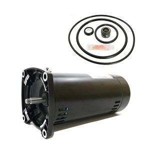 Puri Tech Replacement Motor Kit for Pentair Pinnacle 1HP 342854,  AO Smith USQ1102 with GO-KIT-24