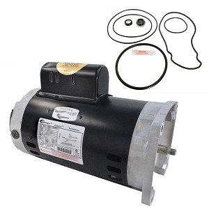 Puri Tech Replacement Motor Kit for Pentair Whisperflo 2HP WFE-8, AO Smith B2843 witih GO-KIT-32