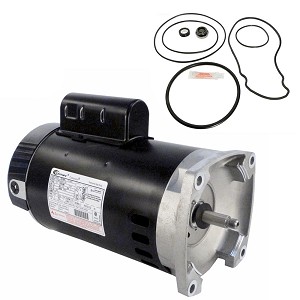 Puri Tech Replacement Motor Kit for Pentair Whisperflo 2.5HP WF-30, AO Smith B2840 with GO-KIT-32