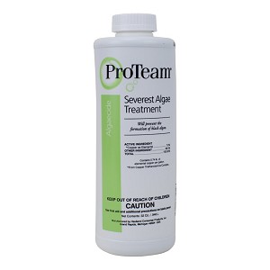 ProTeam Severest Algae Treatment 1 qt