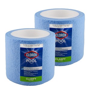 Clorox Platinum Premium 2 Pack Pool Filtration Replacement for Predator Clean & Clear 50 R173213 PAP50-4 FC-0684 C-9405