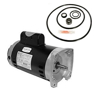 Puri Tech Replacement Motor Kit for Sta-Rite Dura-Glas II 2HP P4R6G-189L, AO Smith Century SQ1202 with GO-KIT-38