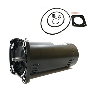 Puri Tech Replacement Motor Kit for Sta-Rite Max-E-Glas 1.5HP PEA5F-182L, AO Smith Century USQ1152 with GO-KIT-6
