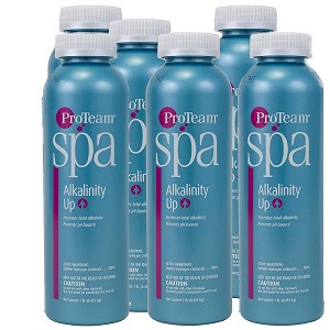 ProTeam Spa Alkalinity Up 6 x 1 lb